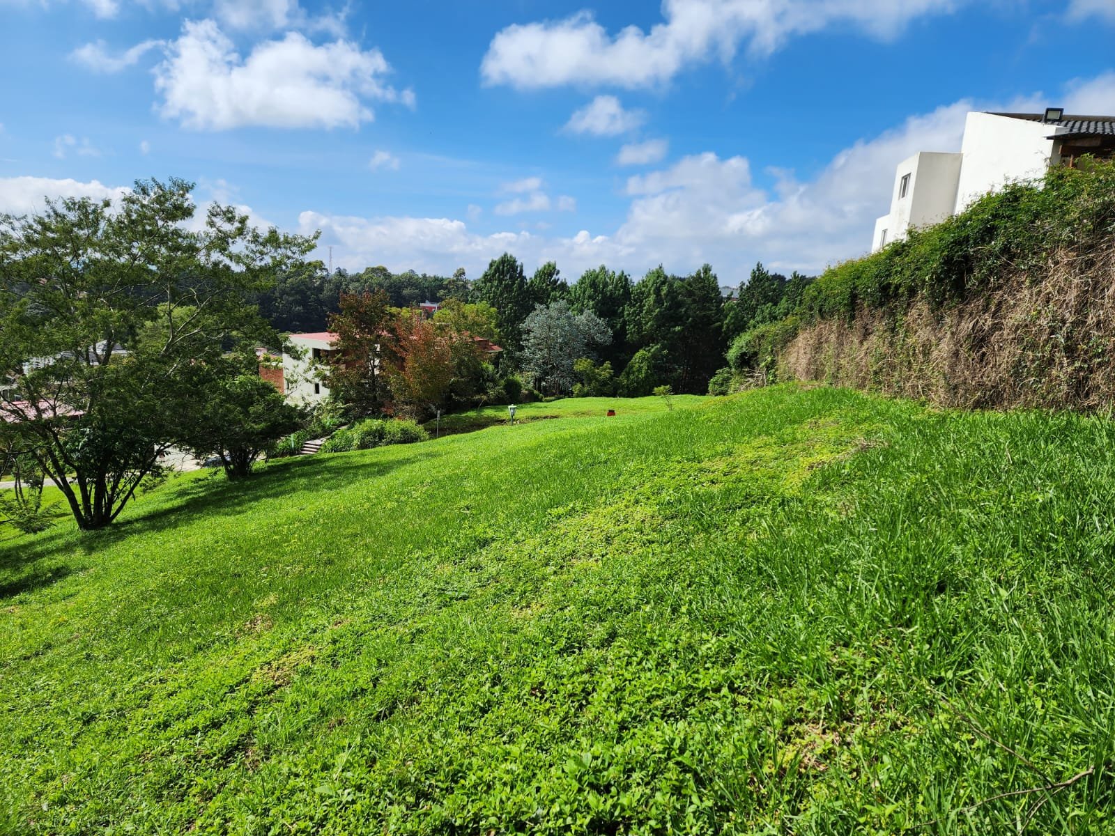 Terreno en venta en San German del Bosque Km 20 CAES