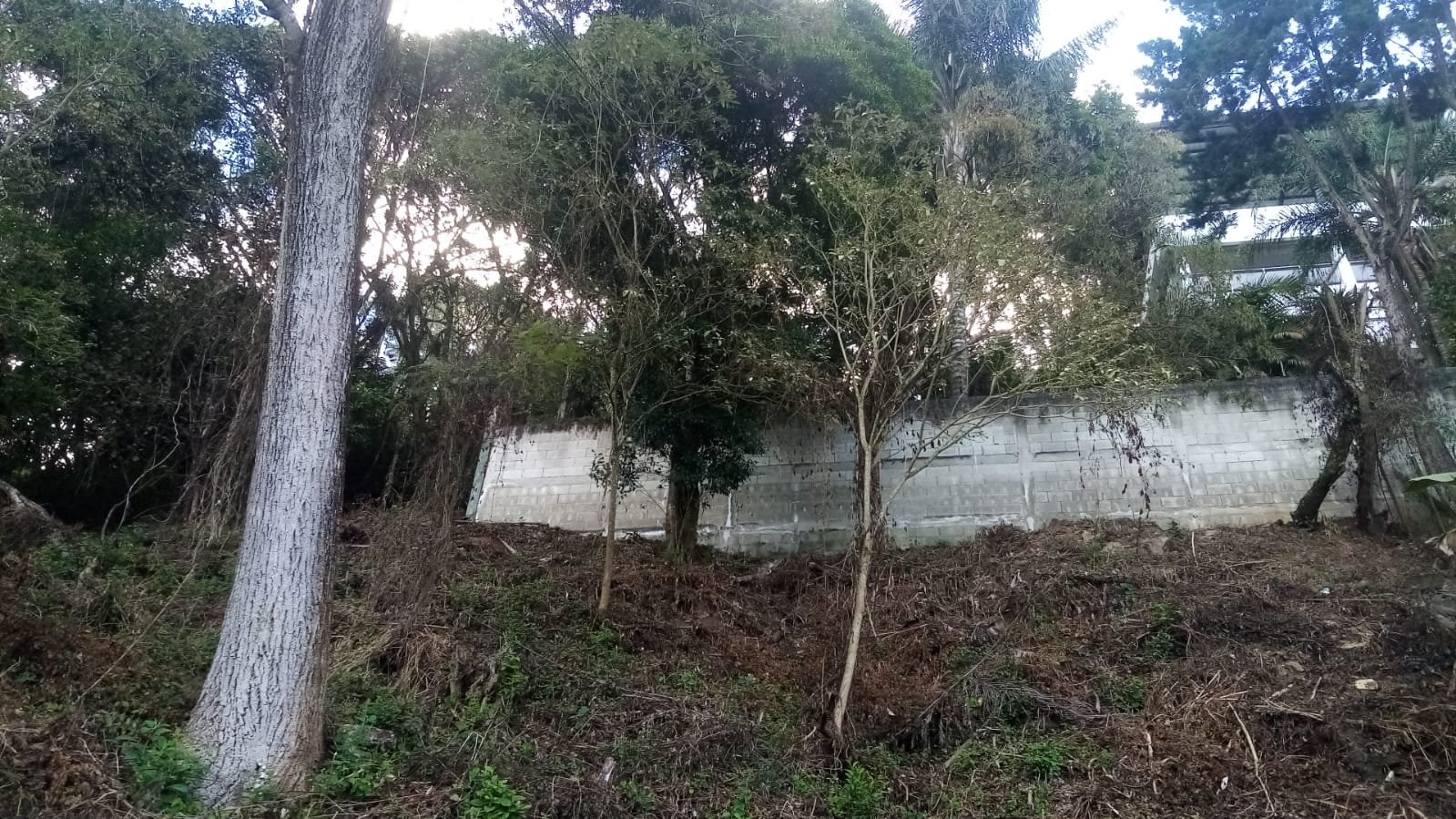 en Condominio La Mirada Km10.5 C.S.