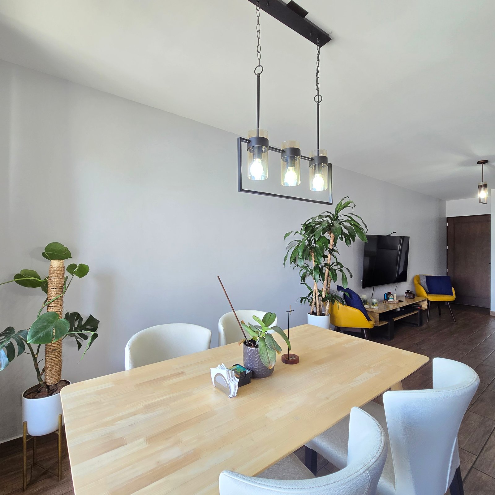 Apartamento Petfriendly en venta 2 habitaciones  zona 11