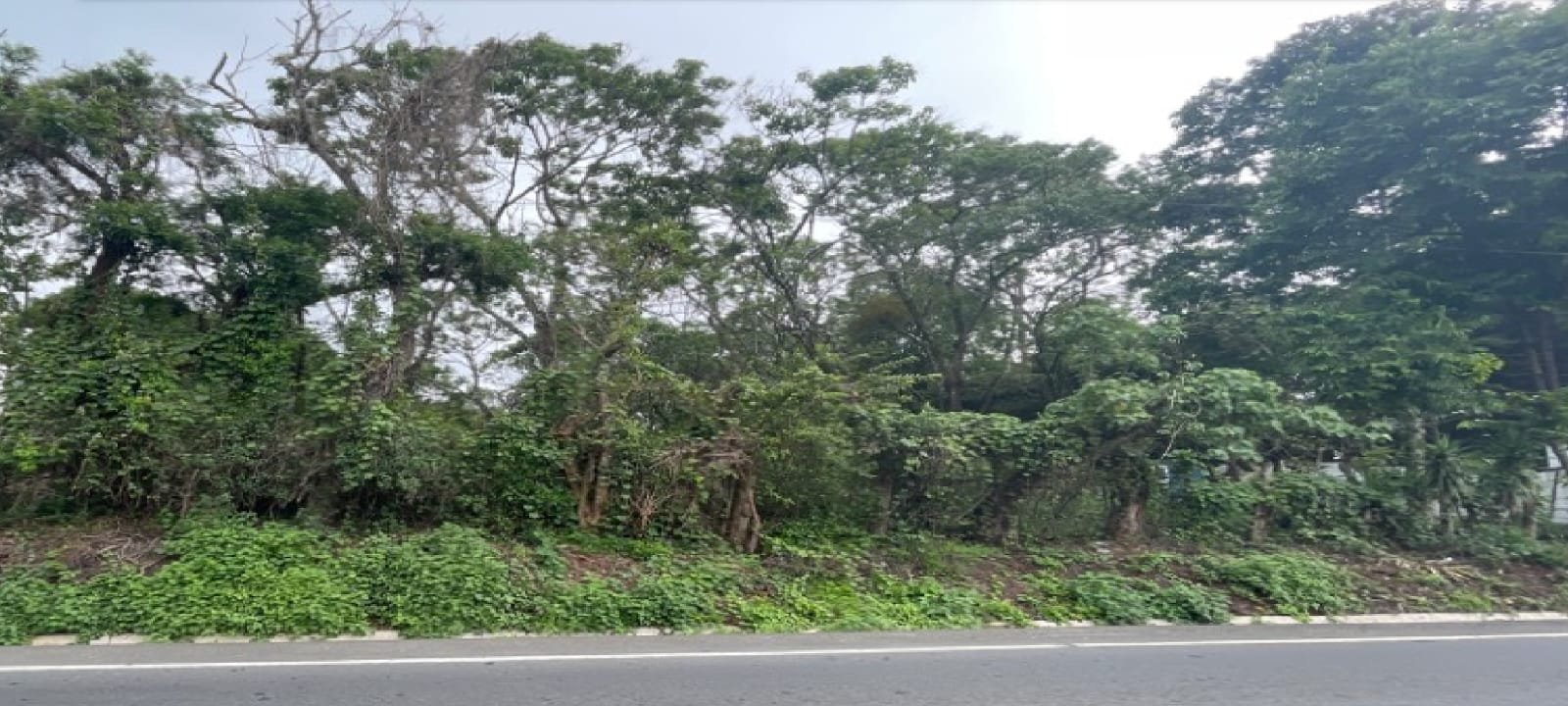 Terreno en venta en Carretera a El Salvador Km 27.7
