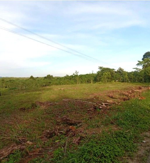 Venta de terreno en Rio Dulce Izabal