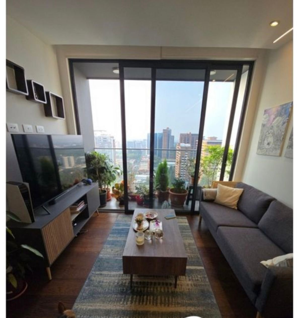 Apartamento en renta de 1 habitacion en Vasanta Zona 10