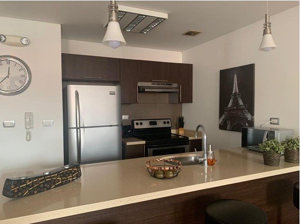 Apartamento en renta amueblado de 2 habitaciones en Z14