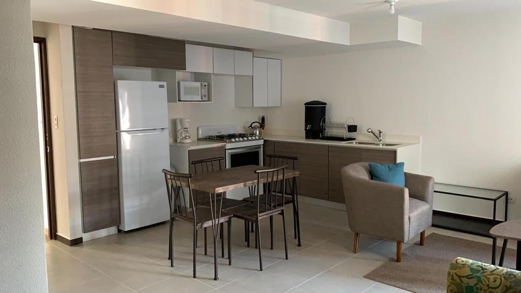 Apartamento en renta amueblado de 1 habitacion en Z11