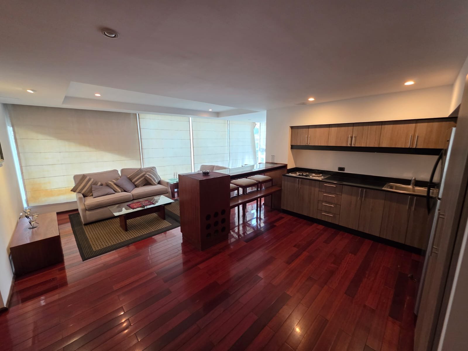 Apartamento en renta amueblado de 2 habitaciones en Z13