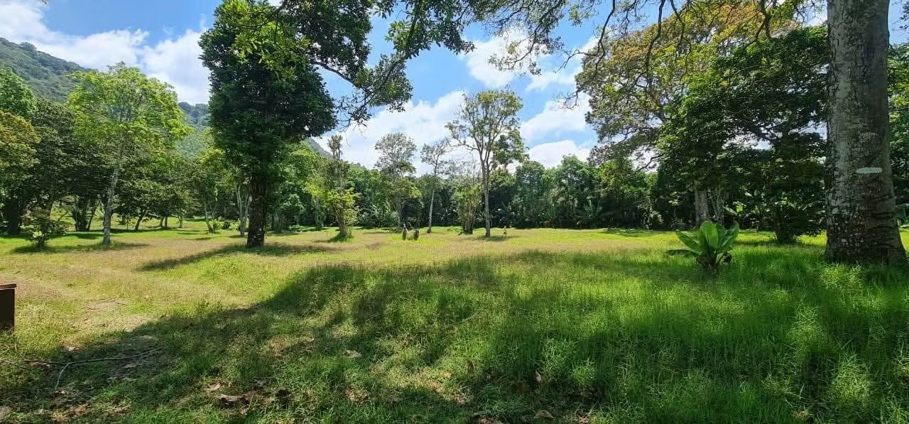 Terreno plano de 8 manzanas -  sobre Santa Elena Barillas