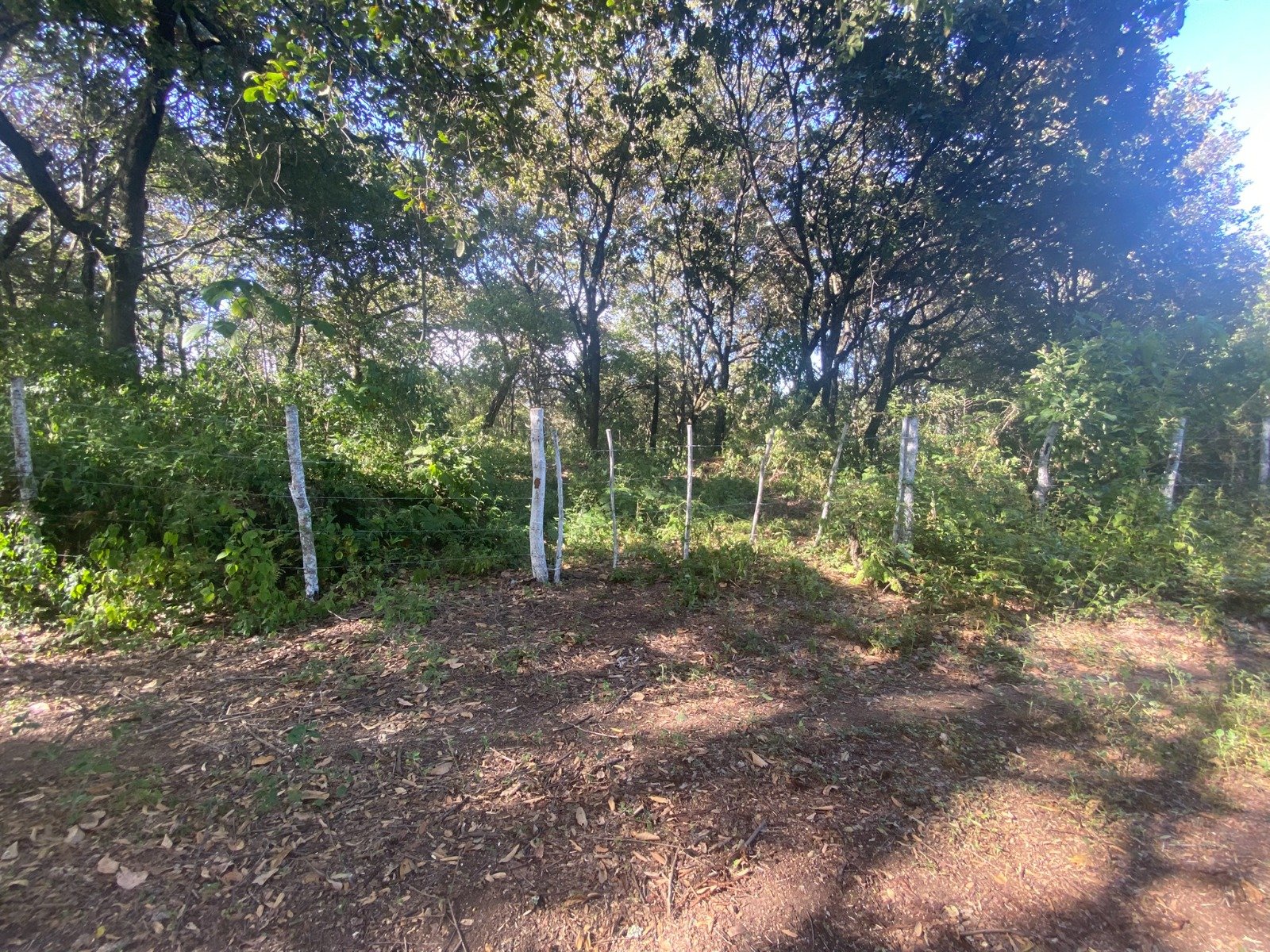 Terreno en Venta 1 manzana en El Encinal, Zona 7 ref-6135