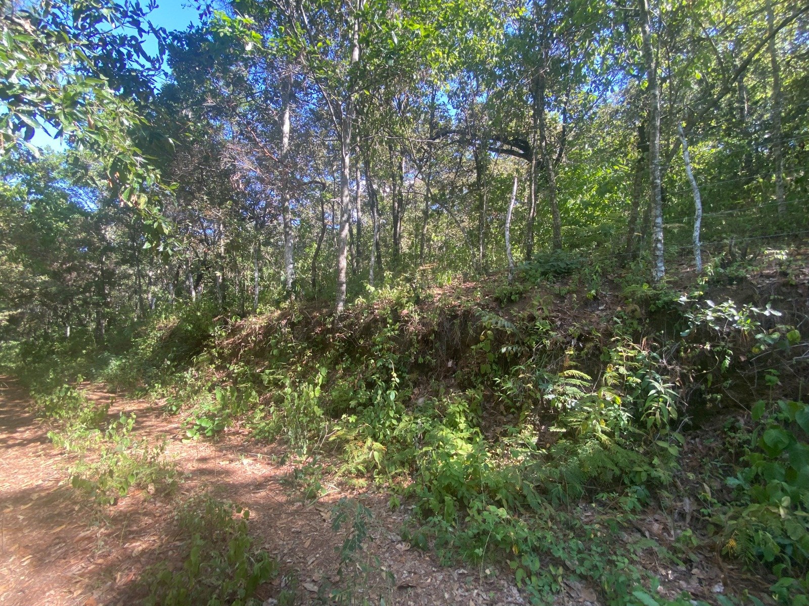 Terreno en Venta 1 manzana en El Encinal, Zona 7 ref-6135