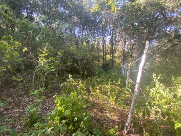 Terreno en Venta 1 manzana en El Encinal